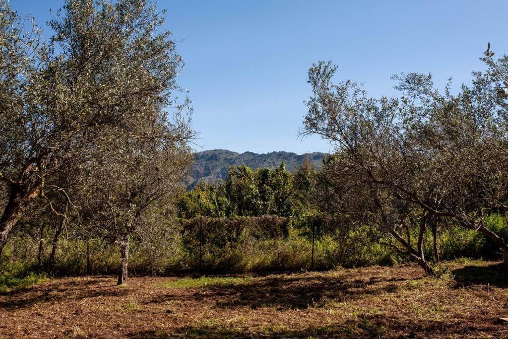 Onar Camper Villa Ligidhes Dış mekan fotoğraf
